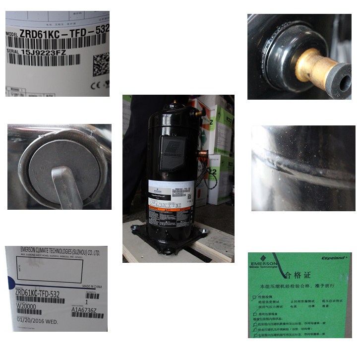 IMG_5946_副本.jpg IMG_5946_副本.jpg