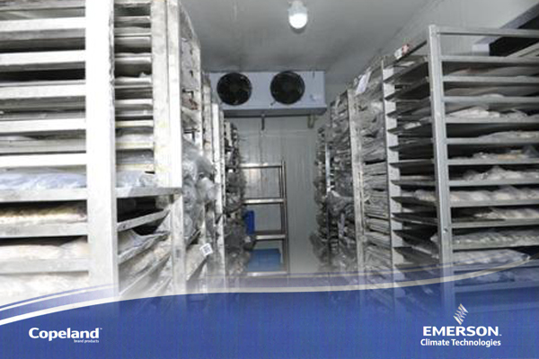 冷庫建設 冷庫建設